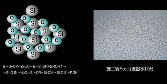 施工後6ヵ月後撥水状況